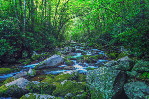 1703693 (a): :2560x1706